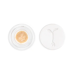 RAW GARDEN -  Funk N Fire Live Rosin 