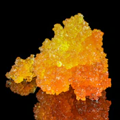 Grassroots | Cap Junky | 1g | Live Sugar