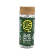 Citrus OG 2.5g 5 Pack Bubble Hash Infused Mini Pre-Rolls - Livin Solventless