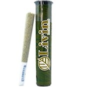 Cherry Pie Kush 1g Bubble Hash Infused Pre-Roll - Livin Solventless