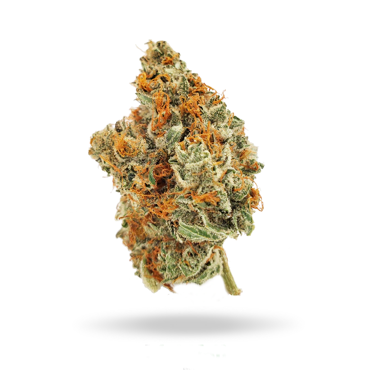 NATURE'S MEDICINE - Buds- Citral Glue Main Image