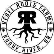 RR | Multistrain CBG/CBD | 1mL Hybrid RSO
