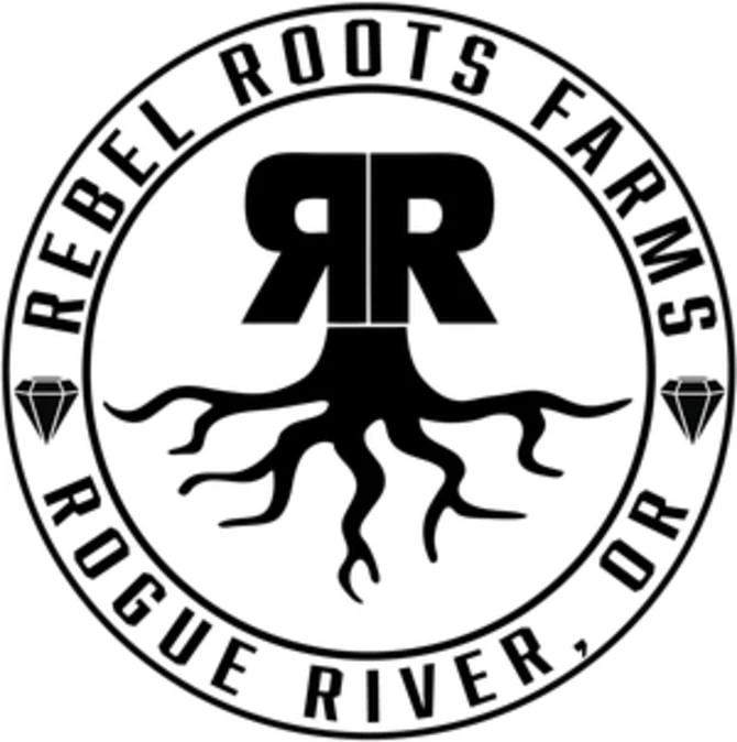 Rebel Roots - RR | Multistrain CBG/CBD | 1mL Hybrid RSO Main Image