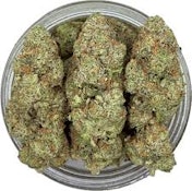 Yellow Mermaid | Pro Gro | Bulk Flower