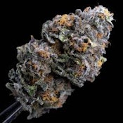 Permanent Marker | Pro Gro | Bulk Flower