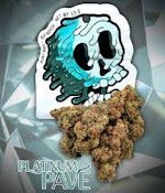 Bulk Flower | Plant Nerd | Platinum Pave