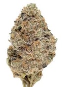 Gelly Gelly | Freedom Green Farms | Bulk Flower