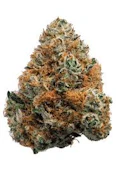 Cream Pop | Freedom Green Farms | Bulk Flower