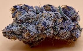 Lazuli Runtz | Grown Rogue | Bulk Flower