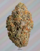 Pink Perfume | Craft Hydroponic | Bulk Flower