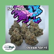 Bulk Flower | Plant Nerd | Ocean Air