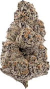 Candy Cream Puff | BAMN | Bulk Flower