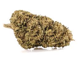 Cherry Lime Runtz | 75 Farms | Bulk Flower