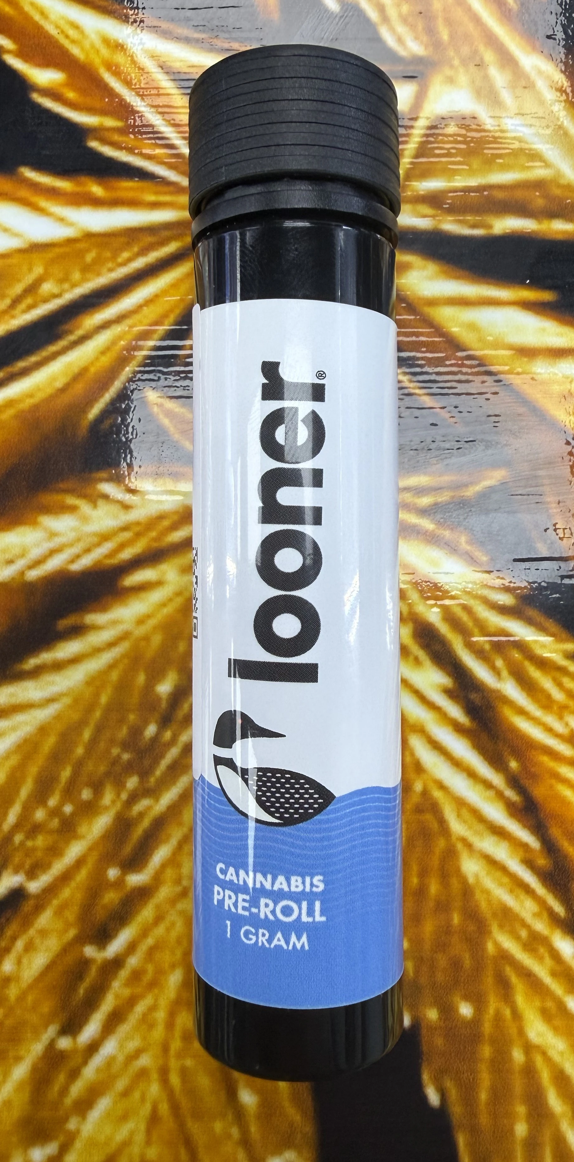 Looner - Looner | Pre-roll | Loon song Main Image