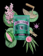 Lost Farm | Watermelon x Fatso | 100mg 10 ct