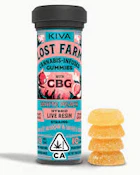 Lost Farm Gummies White Peach x White Widow GBG 1:1