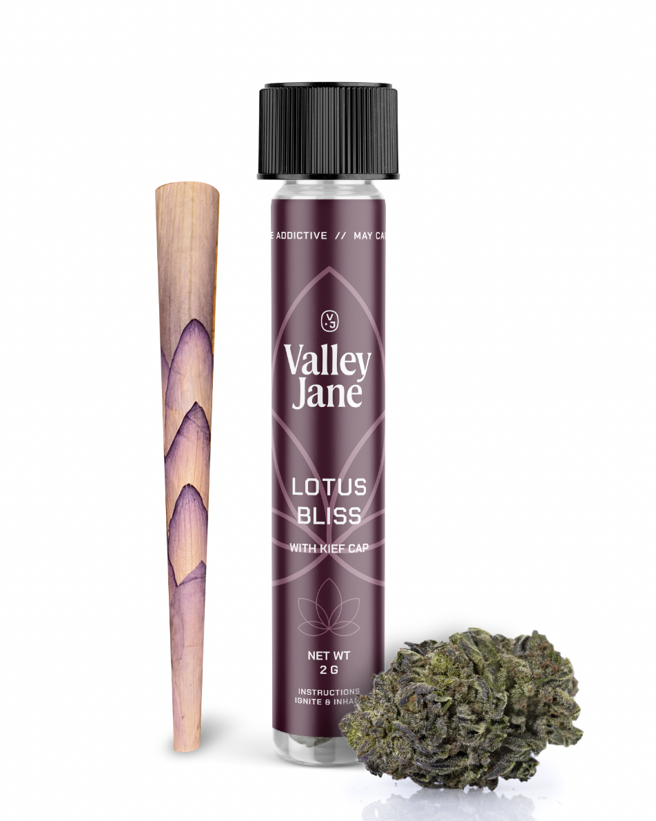 Fanta Sea Lotus Leaf - 2g - Preroll