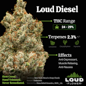 MI Loud - Loud Diesel (I Hybrid) Prepacked Flower - 3.5gs