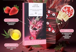 Love Potion Chocolate Covered Strawberry