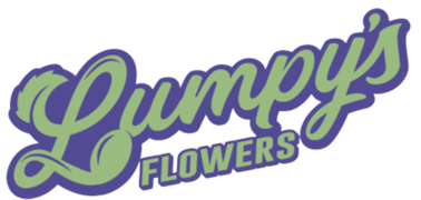 Lumpy's Flower - 3.5g - Apples to Oranges 