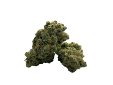 Canuvo | Moose and Lobsta | 3.5g [S]