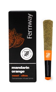 Fernway LLC - Mandarin Orange - 1g Diamond Smoke - Fernway