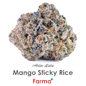 Arise Labs Mango Sticky Rice