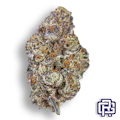 Master Kush