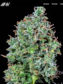 Maui Magilla Glue Bulk Deli Flower