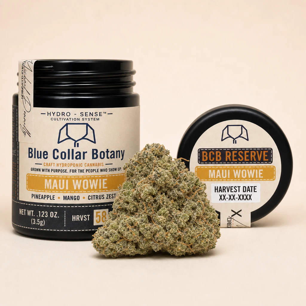 Blue Collar Botany - Maui Wowie - 3.5g - Blue Collar Botany Main Image