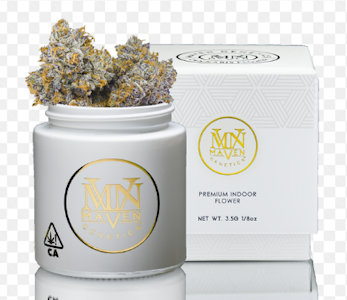 Maven - [Maven] Indoor Flower - 3.5g - Orange Bellini (S)