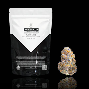 MAVEN - MAVEN | KEY LIME JACK X ORANGE BELLINI SMALLS | FLOWER | 14G