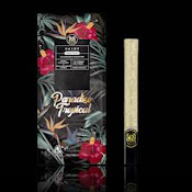 MAVEN | PARADISO TROPICAL - INFUSED | PREROLL | 1.9G