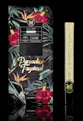 MAVEN - Infused Preroll - Paradiso Tropical - Halos - Rosin - 1.9G