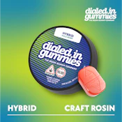 Hula Berry - 100mg Hybrid Rosin - Dialed In Gummies