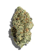 SCOUT & SEED - MEOW OG 3.5 GRAMS