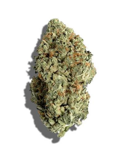Scout & Seed - SCOUT & SEED - MEOW OG 3.5 GRAMS Main Image