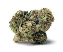 Eighty East | True OG | 3.5g