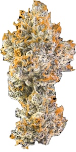 MAVEN GENETICS - Orange Bellini Minis 14g