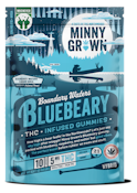 Boundary Waters Bluebeary Gummies - 5mg THC