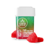 Wana Quick - Strawberry Margarita (Hybrid) 1:1 THC:CBD Gummies - 200mg