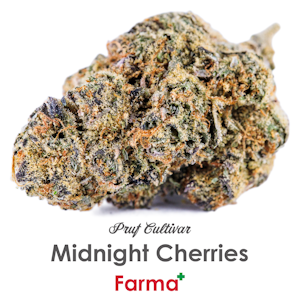 PRUF CULTIVAR - Pruf Cultivar Midnight Cherries