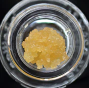 MidsFactory Cured Resin - Sugar - Alien Butter 81%