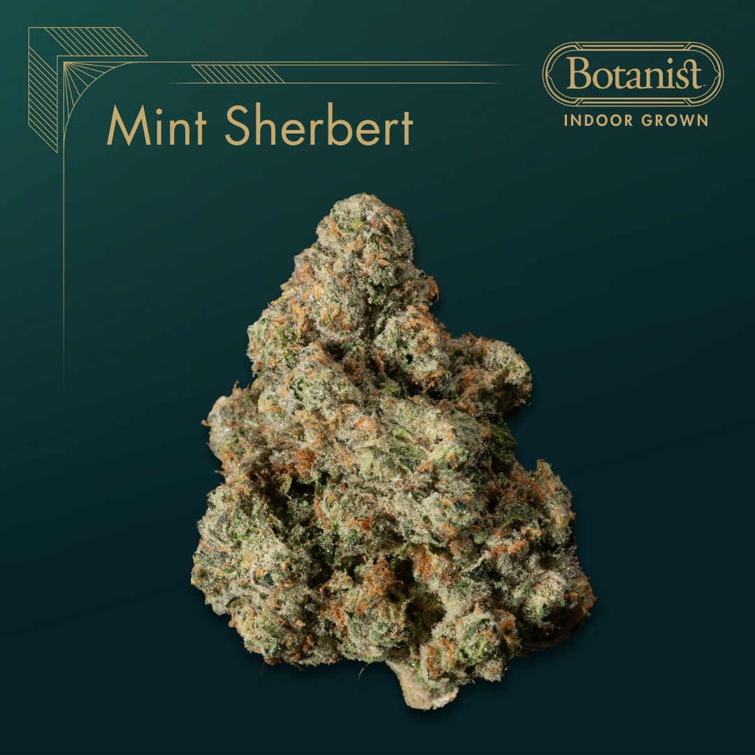 Botanist | Mint Sherbert | 3.5g