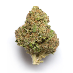 GOODLYFE FARMS - Goodlyfe Farms | Mint Chocolate Chip Cookies