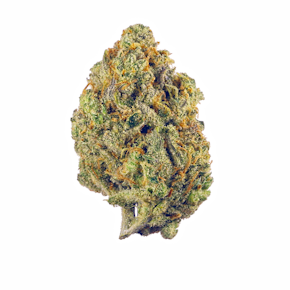 Buds - Gaviota Mist