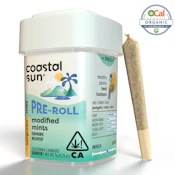 Coastal Sun Pre-rolls 14pk - Modified Mints 27%