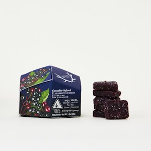 WYLD - [WYLD] THC Gummies - 100mg - THC:CBN 2:1 Elderberry (I)