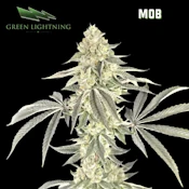 [REC] Green Lightning | M.O.B. | 7g Smalls