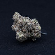 THC | Money Over Bitches 